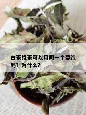 白茶绿茶可以用同一个壶泡吗？为什么？