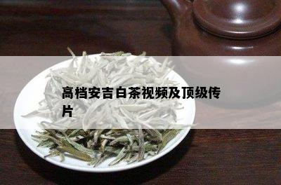 高档安吉白茶视频及顶级传片