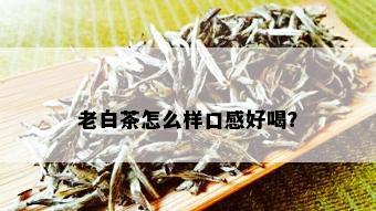 老白茶怎么样口感好喝？