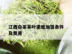 江西白茶茶叶渠道加盟条件及费用