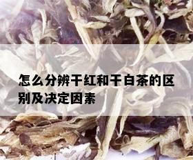 怎么分辨干红和干白茶的区别及决定因素