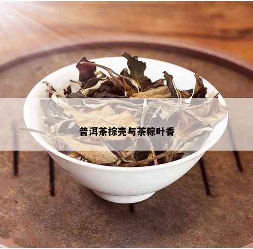 普洱茶棕壳与茶粽叶香