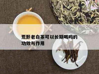 荒野老白茶可以长期喝吗的功效与作用