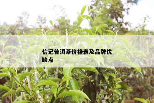 信记普洱茶价格表及品牌优缺点