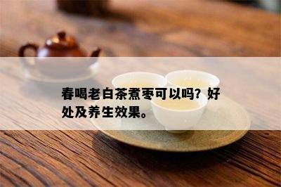 春喝老白茶煮枣可以吗？好处及养生效果。