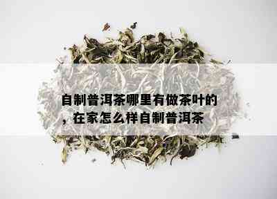 自制普洱茶哪里有做茶叶的，在家怎么样自制普洱茶