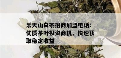 乐天山白茶招商加盟电话：优质茶叶投资商机，快速获取稳定收益