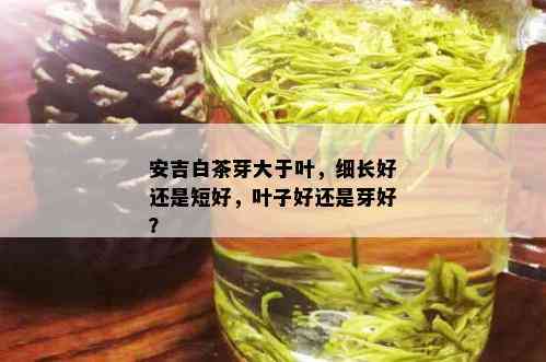 安吉白茶芽大于叶，细长好还是短好，叶子好还是芽好？