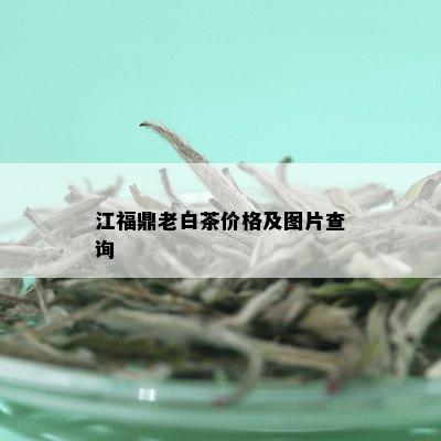 江福鼎老白茶价格及图片查询