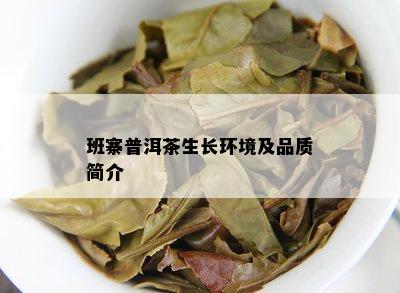 班寨普洱茶生长环境及品质简介