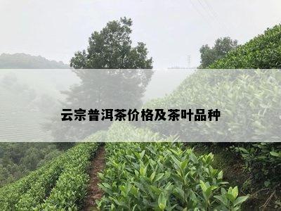 云宗普洱茶价格及茶叶品种