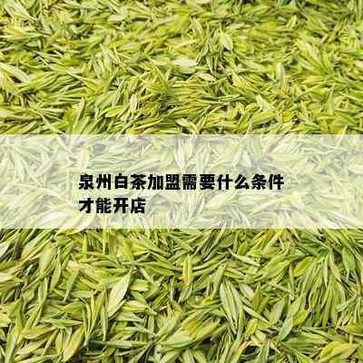 泉州白茶加盟需要什么条件才能开店