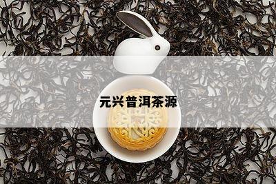 元兴普洱茶源
