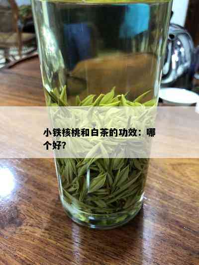 小铁核桃和白茶的功效：哪个好？