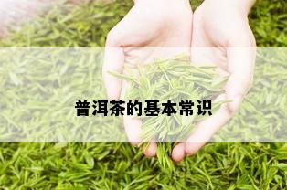 普洱茶的基本常识