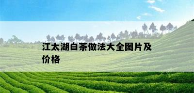 江太湖白茶做法大全图片及价格