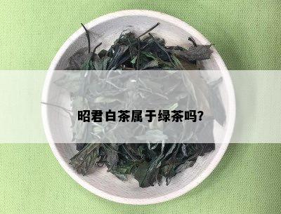 昭君白茶属于绿茶吗？