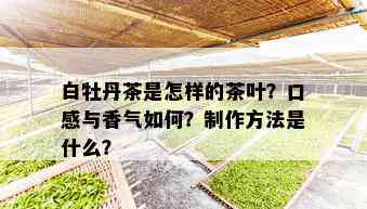 白牡丹茶是怎样的茶叶？口感与香气如何？制作方法是什么？