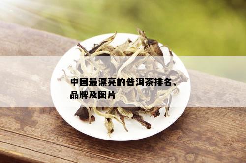 中国最漂亮的普洱茶排名、品牌及图片