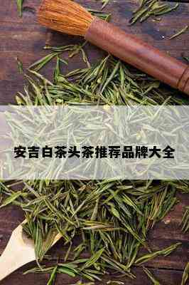 安吉白茶头茶推荐品牌大全