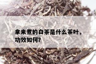 拿来煮的白茶是什么茶叶，功效如何？