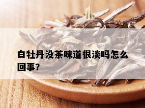 白牡丹没茶味道很淡吗怎么回事？