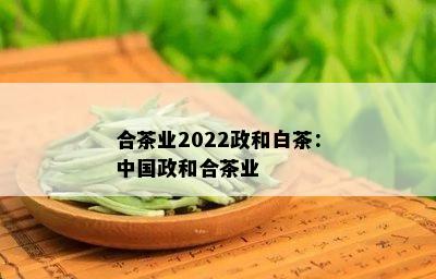 合茶业2022政和白茶：中国政和合茶业