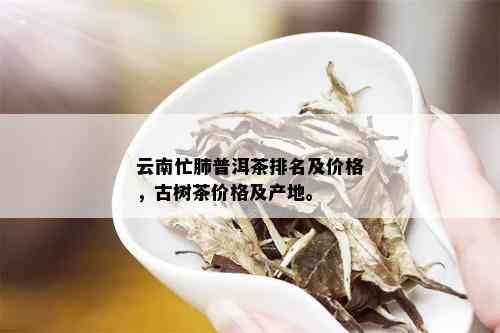 云南忙肺普洱茶排名及价格，古树茶价格及产地。