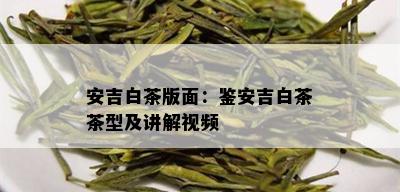 安吉白茶版面：鉴安吉白茶茶型及讲解视频