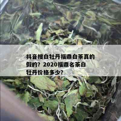 抖音搜白牡丹福鼎白茶真的假的？2020福鼎名茶白牡丹价格多少？