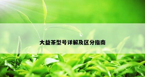 大益茶型号详解及区分指南