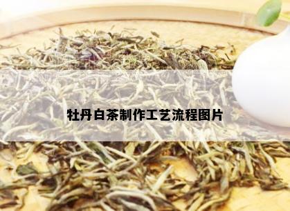牡丹白茶制作工艺流程图片