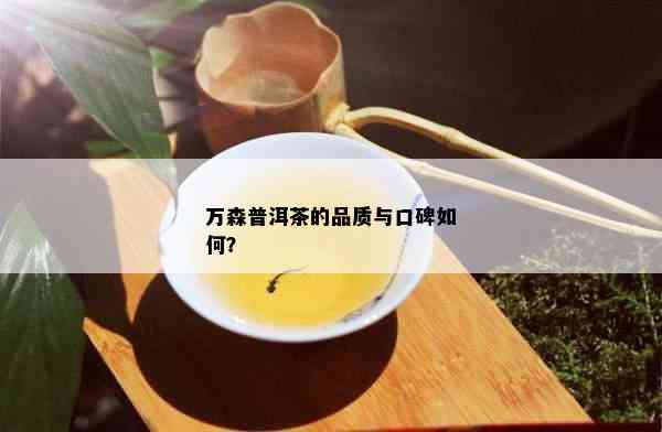 万森普洱茶的品质与口碑如何？