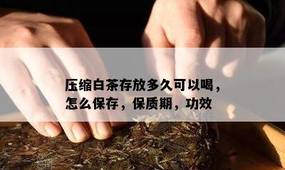 压缩白茶存放多久可以喝，怎么保存，保质期，功效