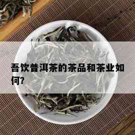 吾饮普洱茶的茶品和茶业如何？