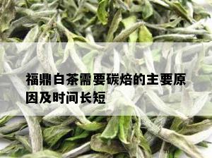 福鼎白茶需要碳焙的主要原因及时间长短