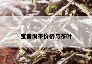 宝普洱茶价格与茶叶