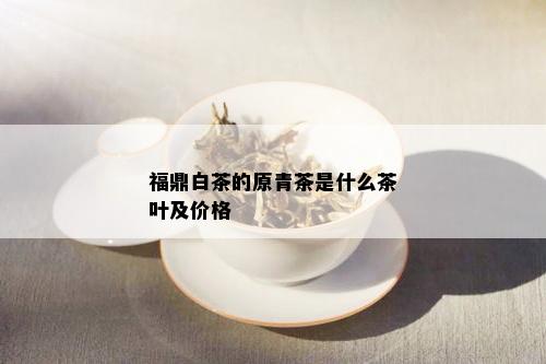 福鼎白茶的原青茶是什么茶叶及价格