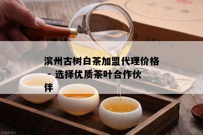 滨州古树白茶加盟代理价格 - 选择优质茶叶合作伙伴