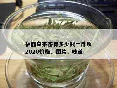 福鼎白茶茶青多少钱一斤及2020价格、图片、味道