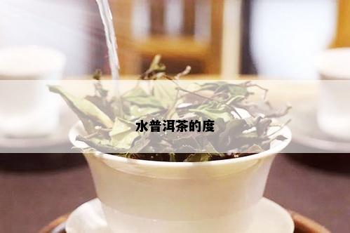 水普洱茶的度