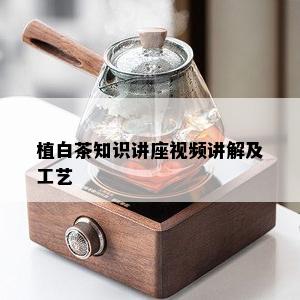 植白茶知识讲座视频讲解及工艺