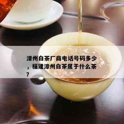 漳州白茶厂商电话号码多少，福建漳州白茶属于什么茶？