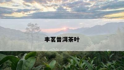 丰茗普洱茶叶