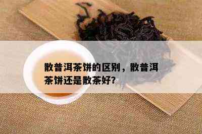 散普洱茶饼的区别，散普洱茶饼还是散茶好？