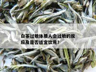 白茶过敏体质人会过敏的反应及是否适宜饮用？