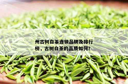 州古树白茶连锁品牌及排行榜，古树白茶的品质如何？