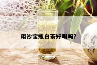 粗沙宝瓶白茶好喝吗？