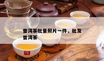 普洱茶批量照片一件，批发普洱茶