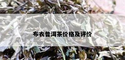 布衣普洱茶价格及评价